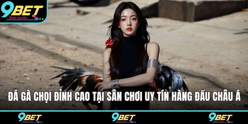 Đá gà chọi