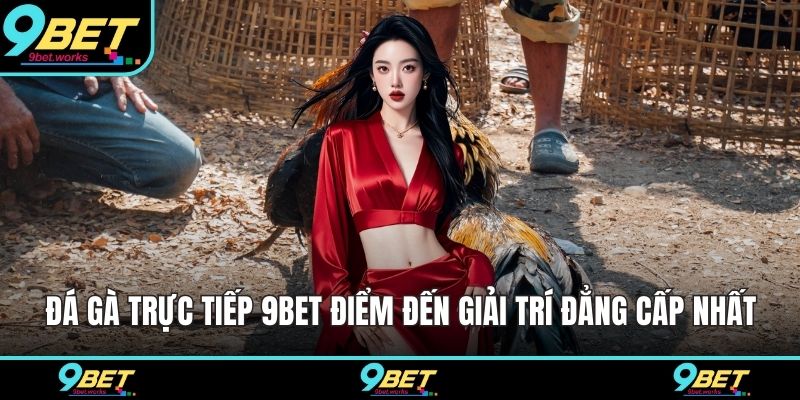 Đá gà trực tiếp 9bet