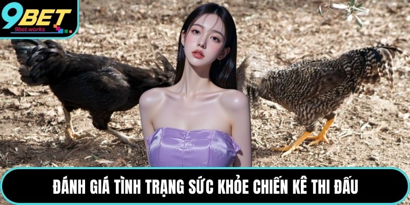 Đánh giá tình trạng sức khỏe chiến kê thi đấu