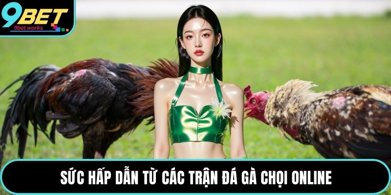 Sức hấp dẫn từ các trận đá gà chọi online