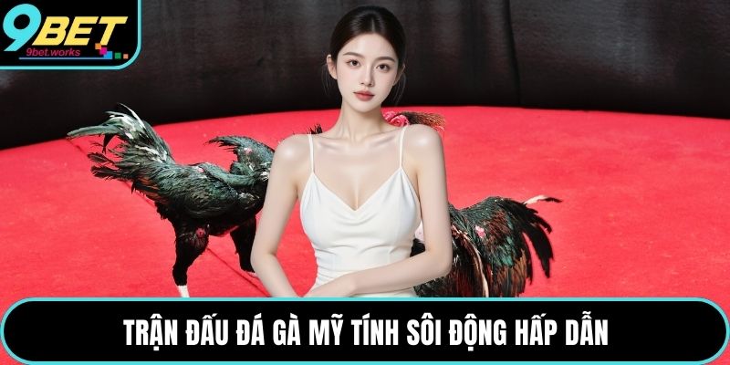 Trận đấu đá gà Mỹ tính sôi động hấp dẫn