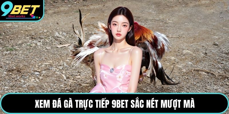 Xem đá gà trực tiếp 9bet sắc nét mượt mà